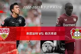 天博体育官网有实力-勒沃库森上赛季德甲第几