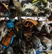 今夜法兰克福调整名单以备全明星赛，外线爆发环节打磨，信心回归，赛季目标并未改变